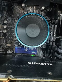 Review picture
