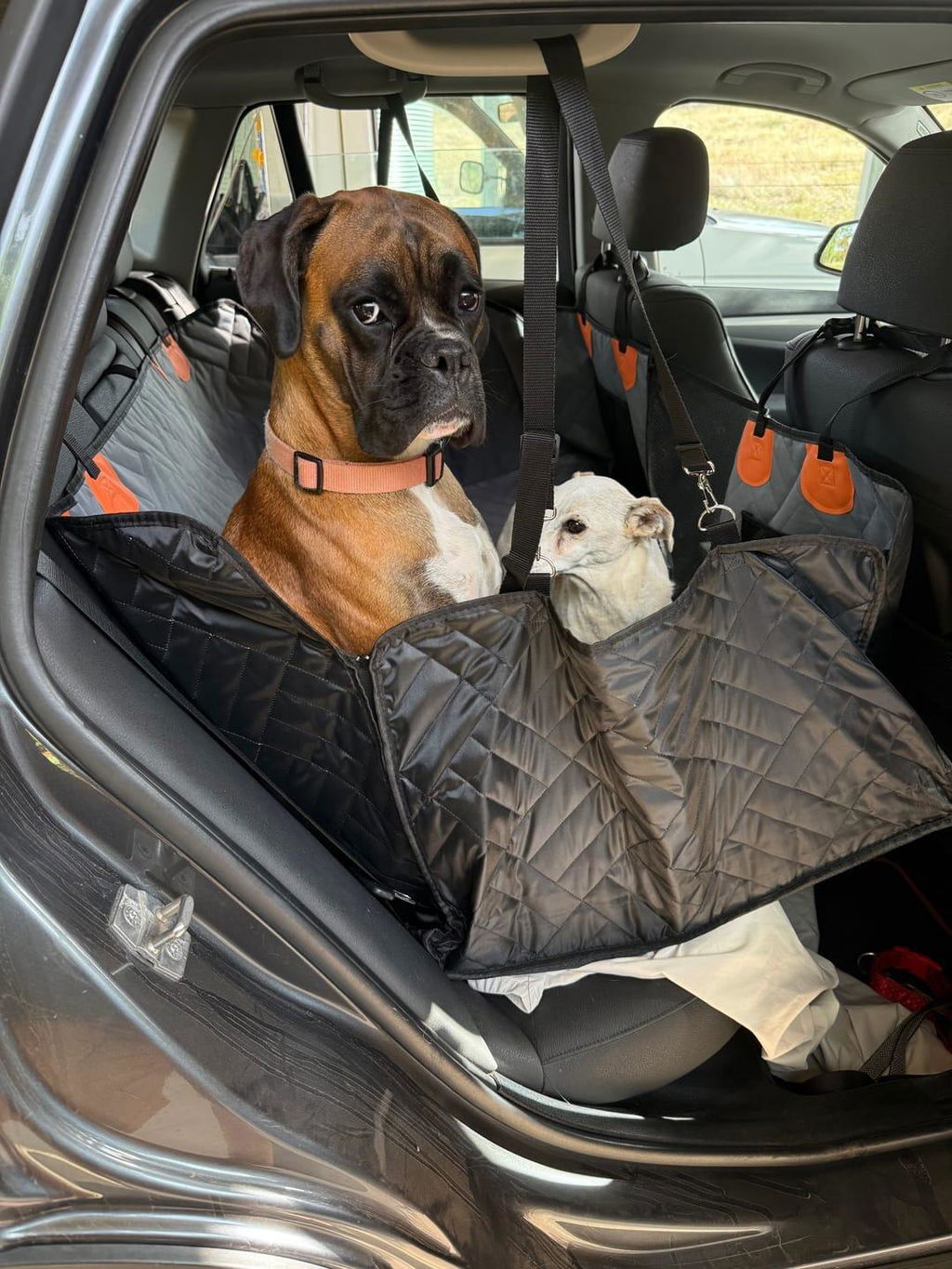 ŁAPKO TRAVEL