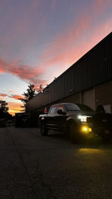 Switchback 60W H10 9145 9140 9055 LD Plus Series | 6,000LM 6000K/3000K LED Fog Light Bulbs