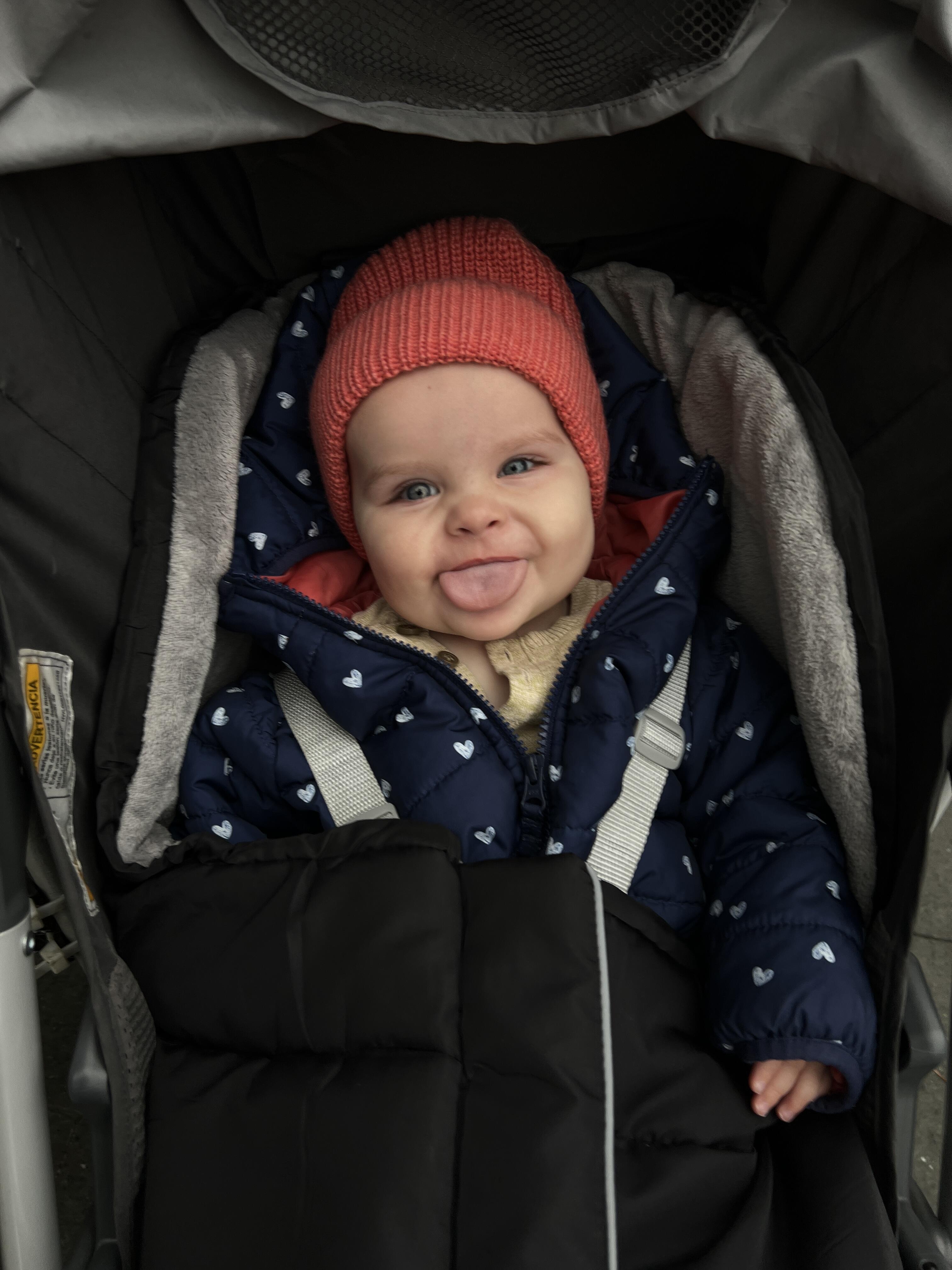 Wool/Baby Alpaca Blend Knit Beanie Hat