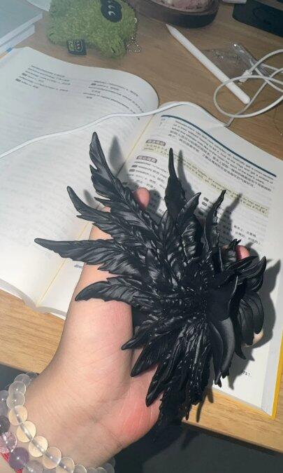 Matte Black Wing Hair Claw Clip