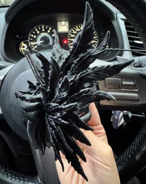 Matte Black Wing Hair Claw Clip
