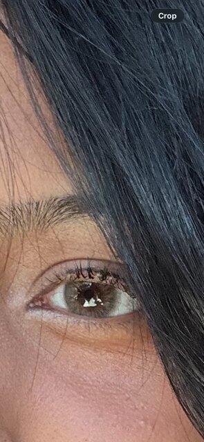 Kiralet Gray