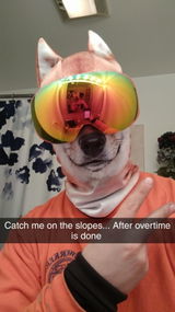 User picture