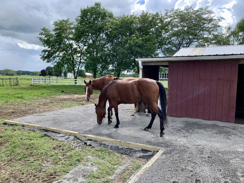 Lighthoof Equine Mud Management Panel