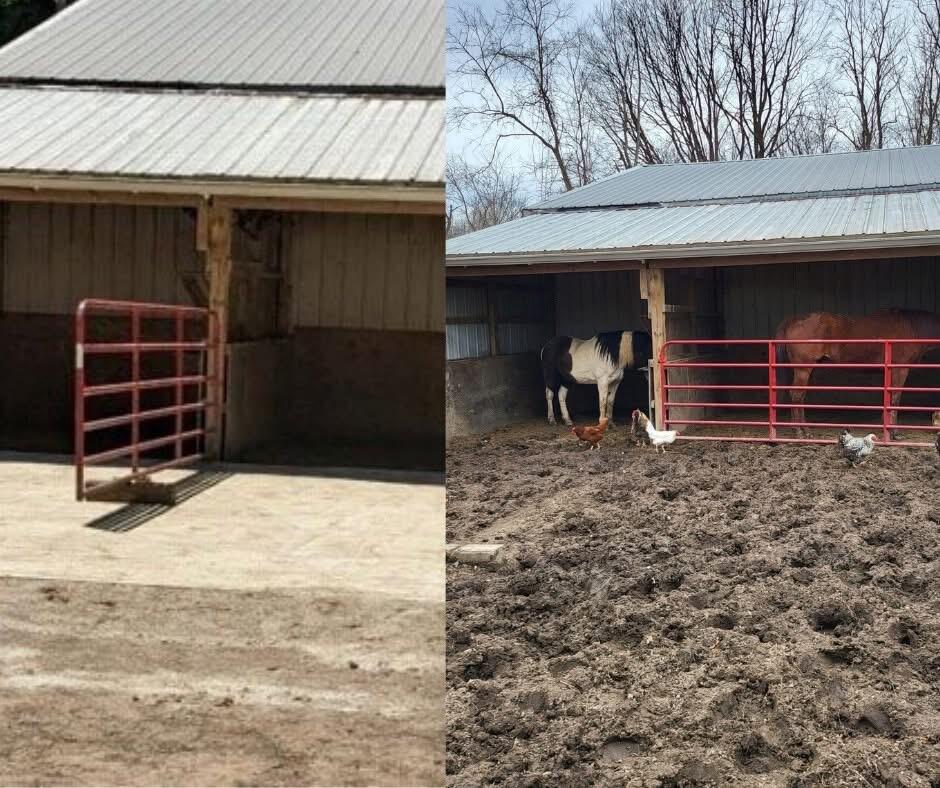 Lighthoof Equine Mud Management Panel