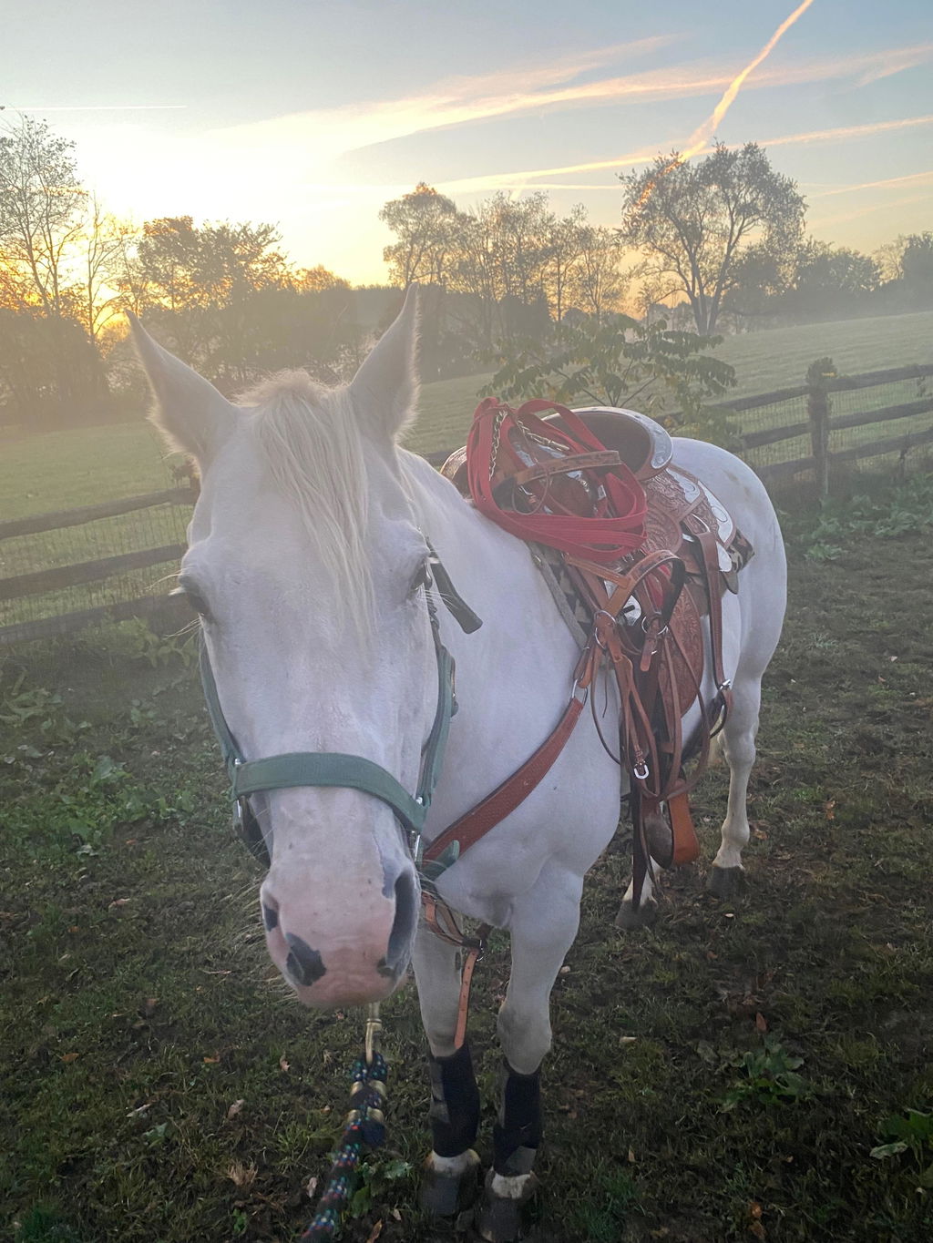 Lighthoof Equine Mud Management Panel