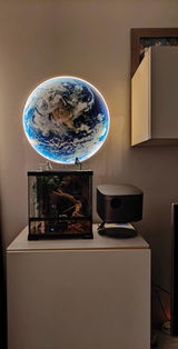 User picture