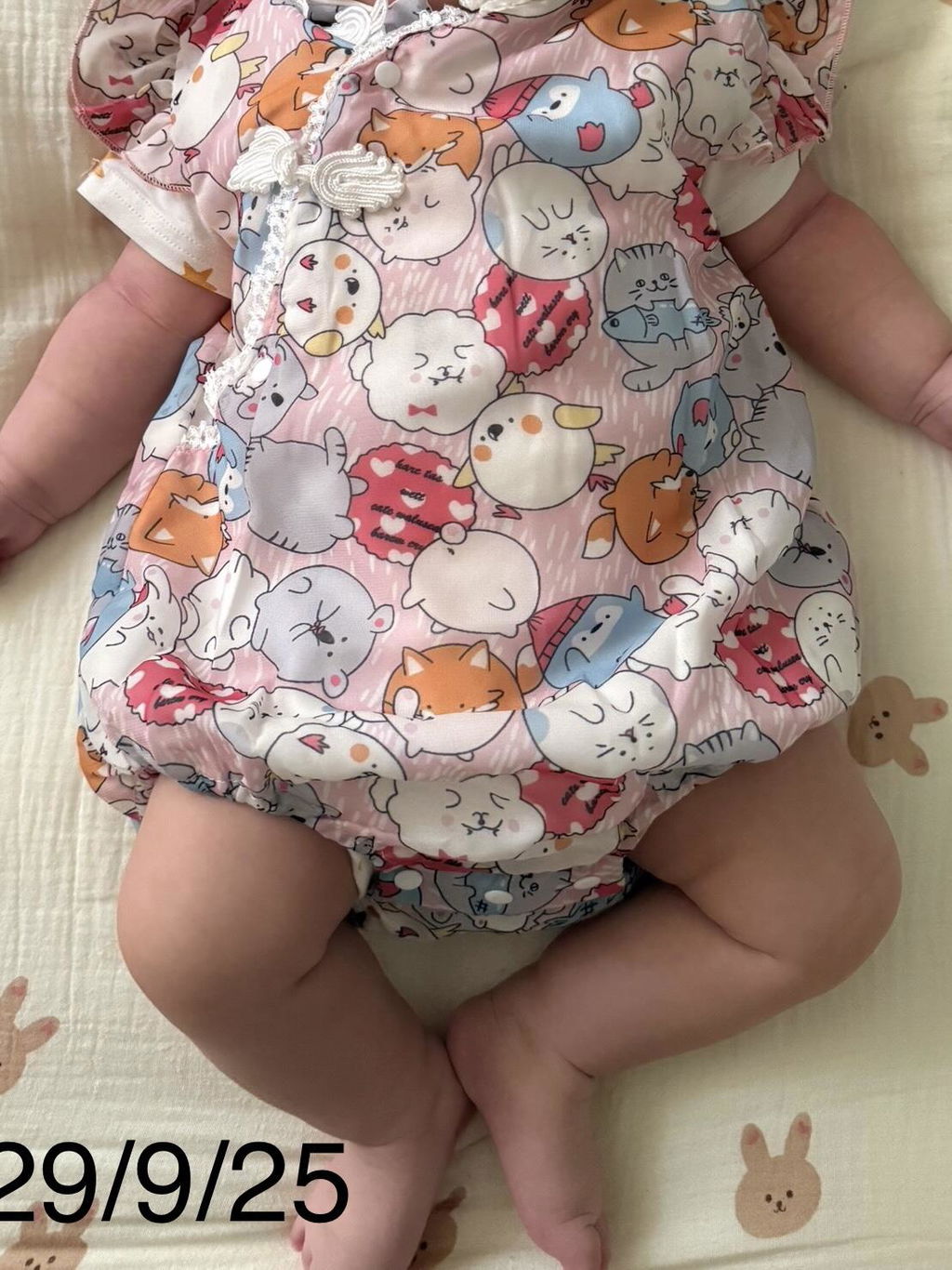 Singapore Souvenir Gift Purrfect Family Paws Baby Girl Pink Cats Cheongsam Bodysuit n Headwrap Set Family Wear 0821