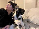 User picture