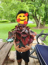 User picture