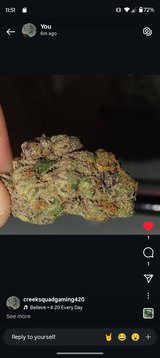 User picture