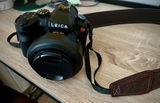 User picture