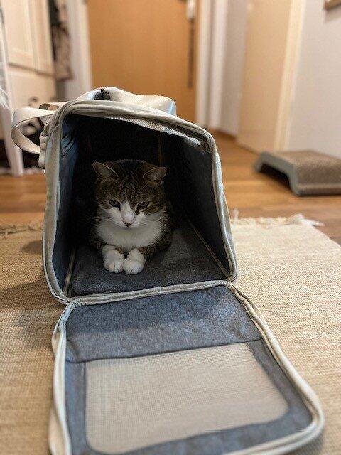 CHECK-IN Transporttasche