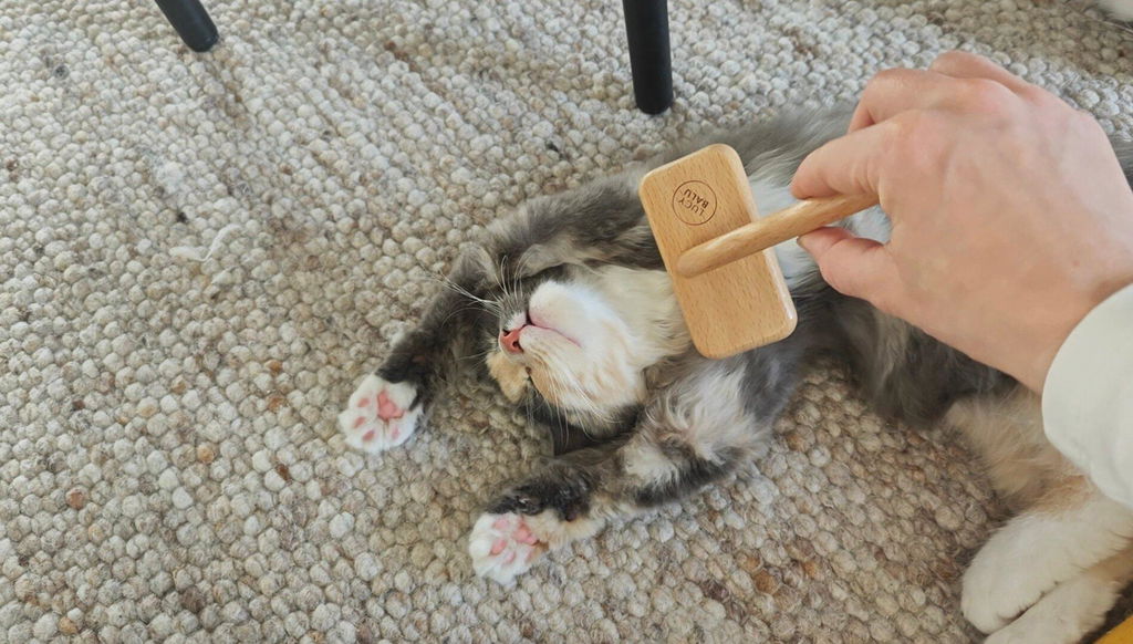 FURRY Slickerbürste