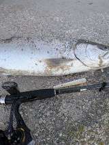 Orbit Inline Lure