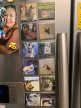 Photo Magnet | Square Bundles