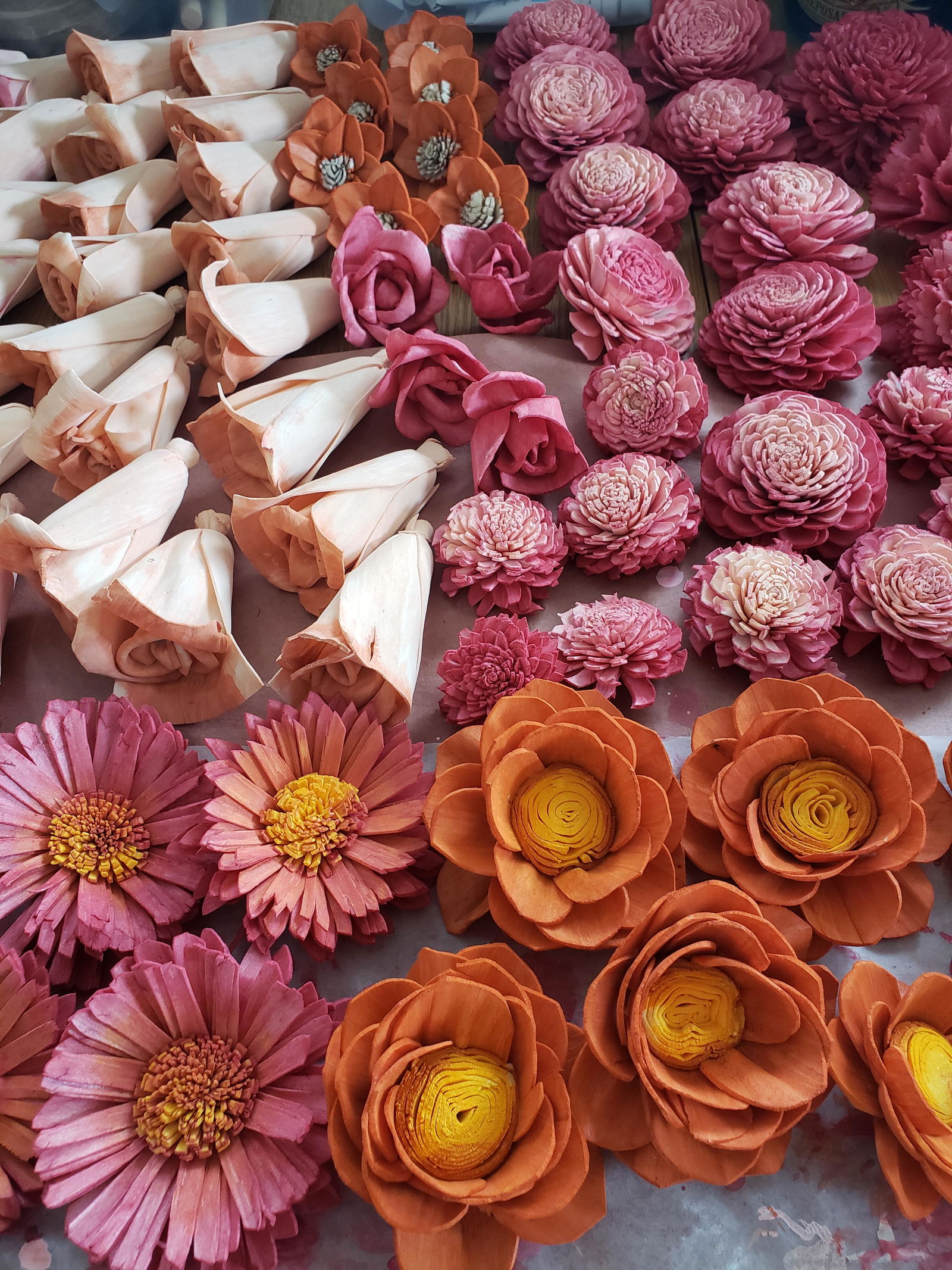 Sola Wood Flower Assortment | 50-Pack Raw | Luv Sola Flowers