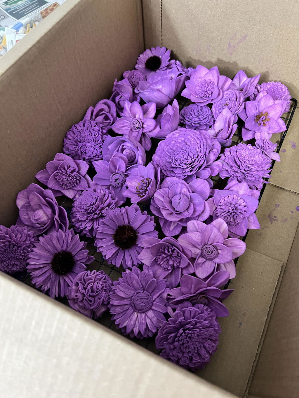 Sola Wood Flower Assortment | 50-Pack Raw | Luv Sola Flowers