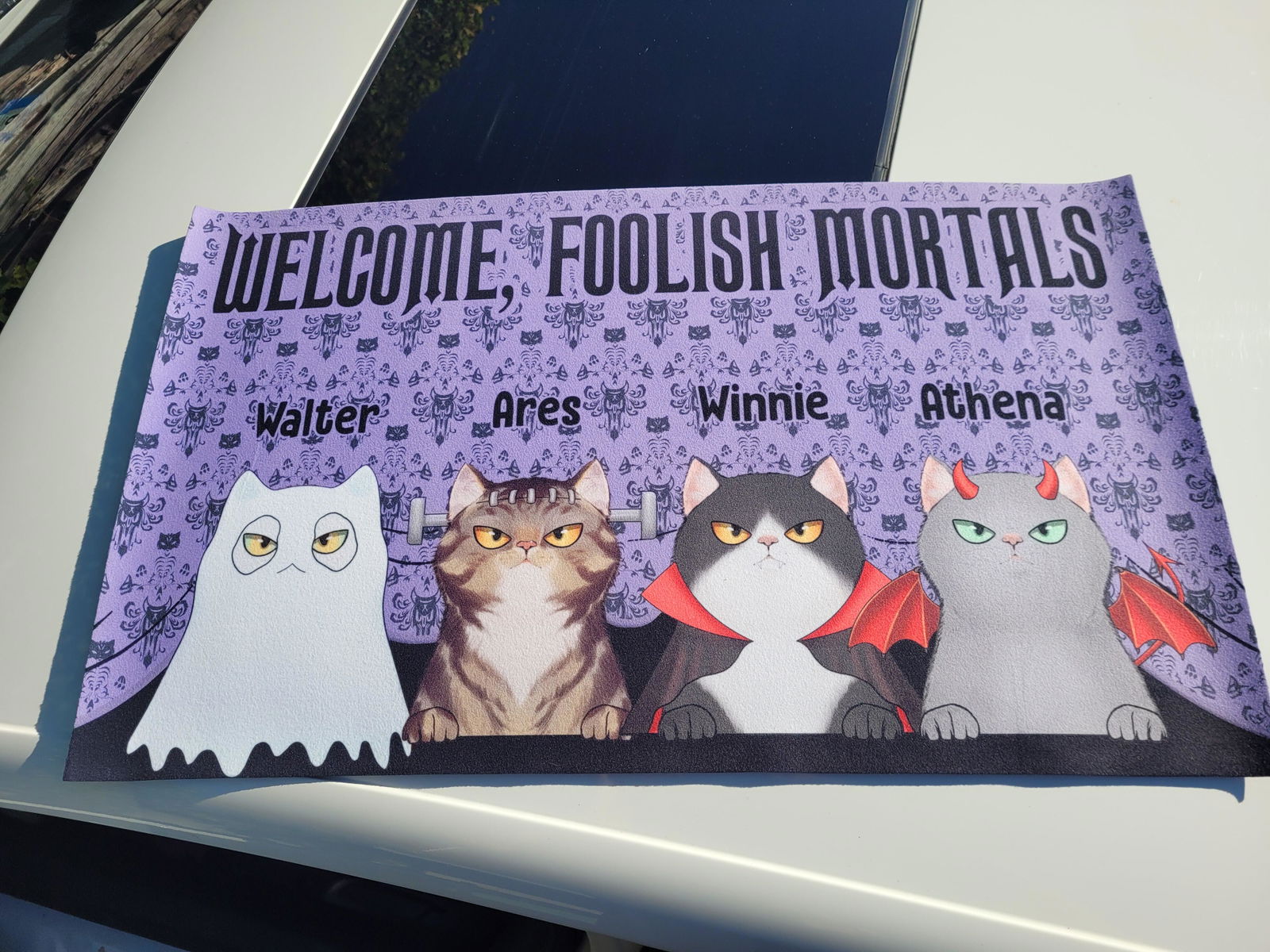 Customer photo of Welcome Foolish Mortals Cat - Personalized Doormat
