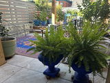 Turkish Blue