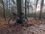 Mai Versa CGP Carbon Rahmenset Gravel