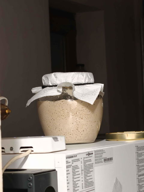 Maia Fermentata