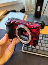 User picture