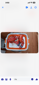 User picture