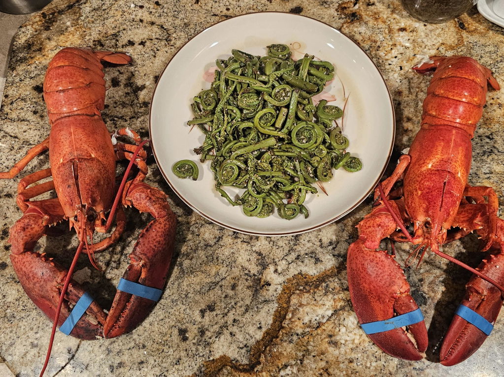 Gulf of Maine Steamer Clams - 1 lb.