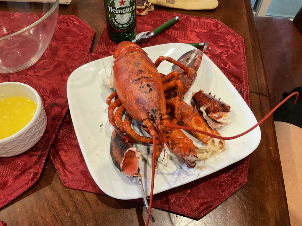 1.75 lb Live Maine Lobster