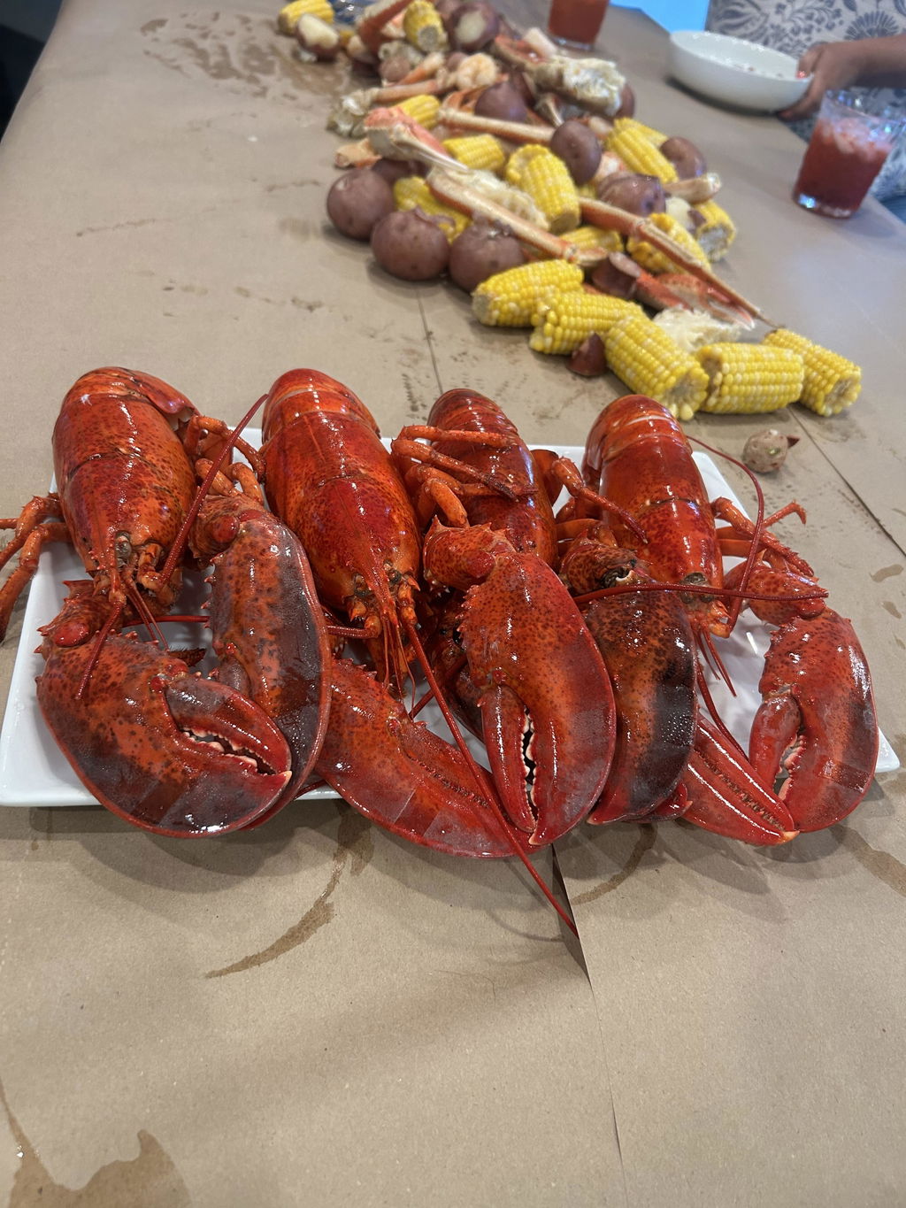 1.25 lb Live Maine Lobster