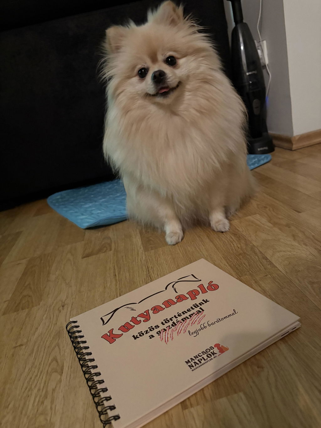 Kutyanapló