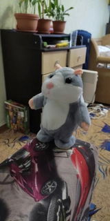 User picture