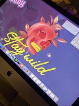 User picture
