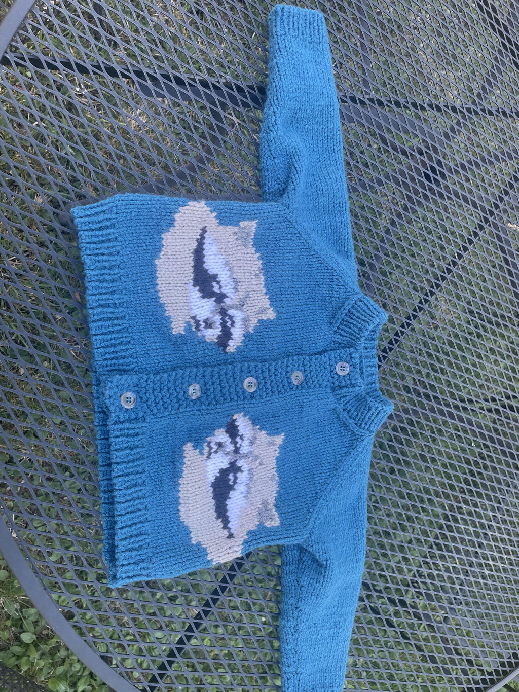 Raccoon Cardigan Pattern – Mary Maxim