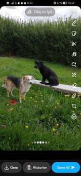 User picture
