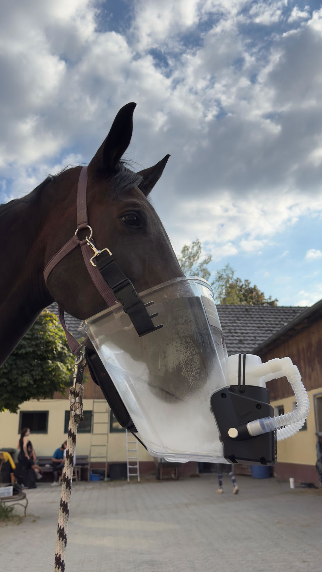 Inhalator für Pferde equosonic free Starterpaket