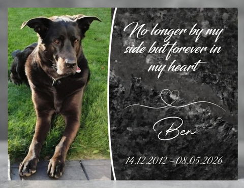 Personalisierte Gedenktafel für Hunde