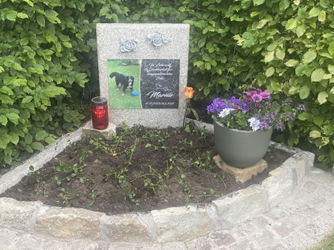 Personalisierte Gedenktafel für Hunde