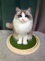 Memorpaw Wool Felt Pet Full Body Portrait Customization