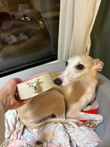 Memorpaw Pet Custom Ceramic Handmade Slow Food Water Bowl