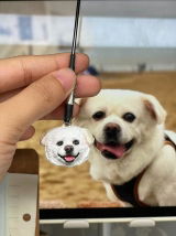Memorpaw Customized Soft Ceramic Pet Portrait Necklace Ring Brooch Keychain