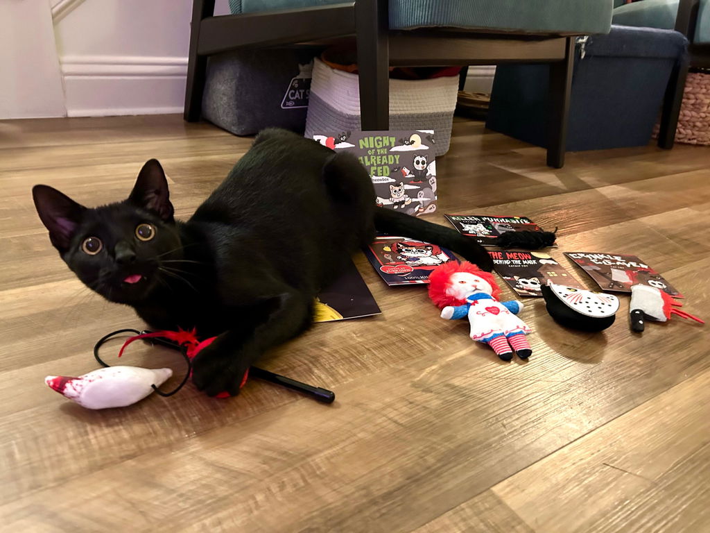 meowbox Cat Subscription Box