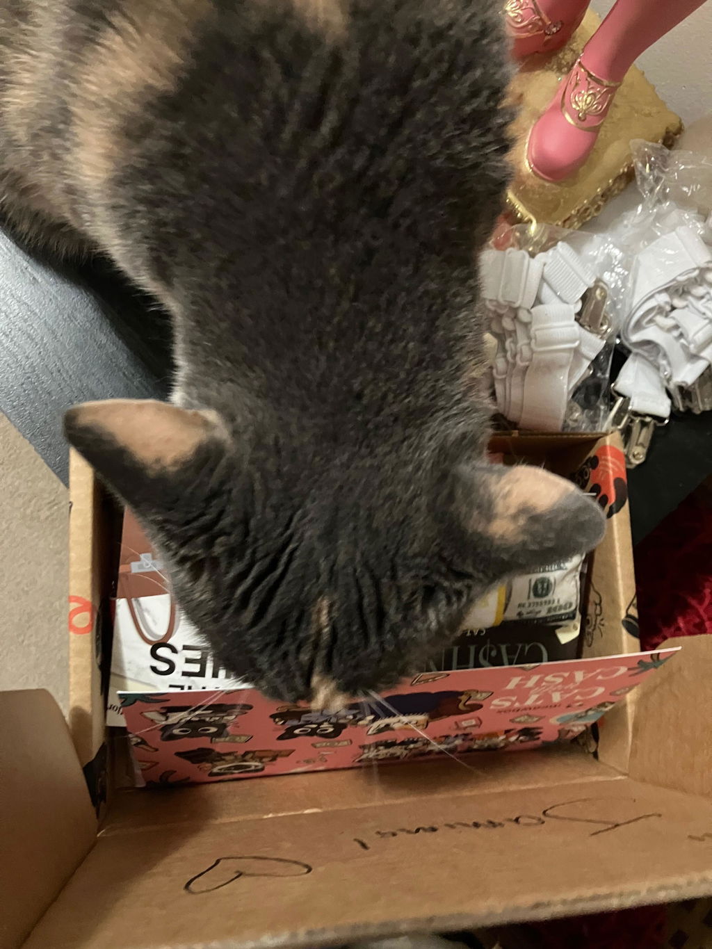 meowbox Cat Subscription Box Canada