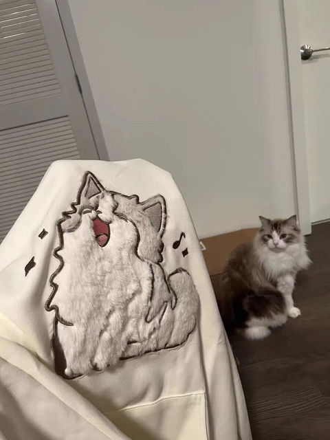 Cartoon Embroidery Singing Kitty Cat Sweatshirt Hoodie