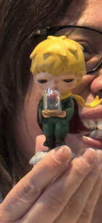 POP MART Hirono×Le Petit Prince Series Figures
