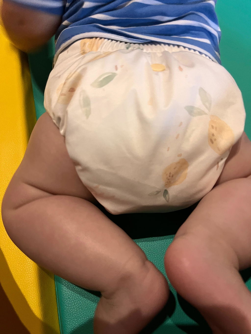 Goose 2.0 Mimi® Cloth Nappy