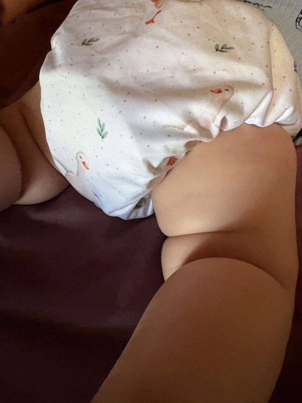 Goose 2.0 Mimi® Cloth Nappy