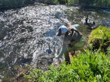 Miss Mayfly® MOXIE Chest Wader©